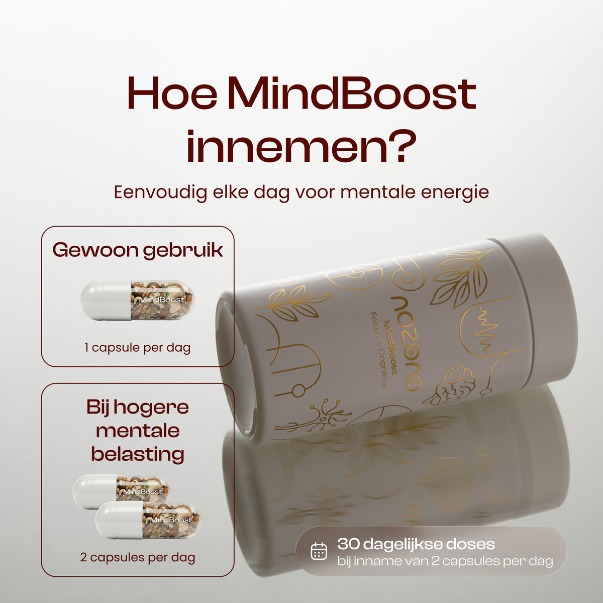 MindBoost