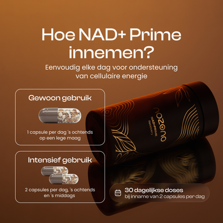 NAD+ Prime