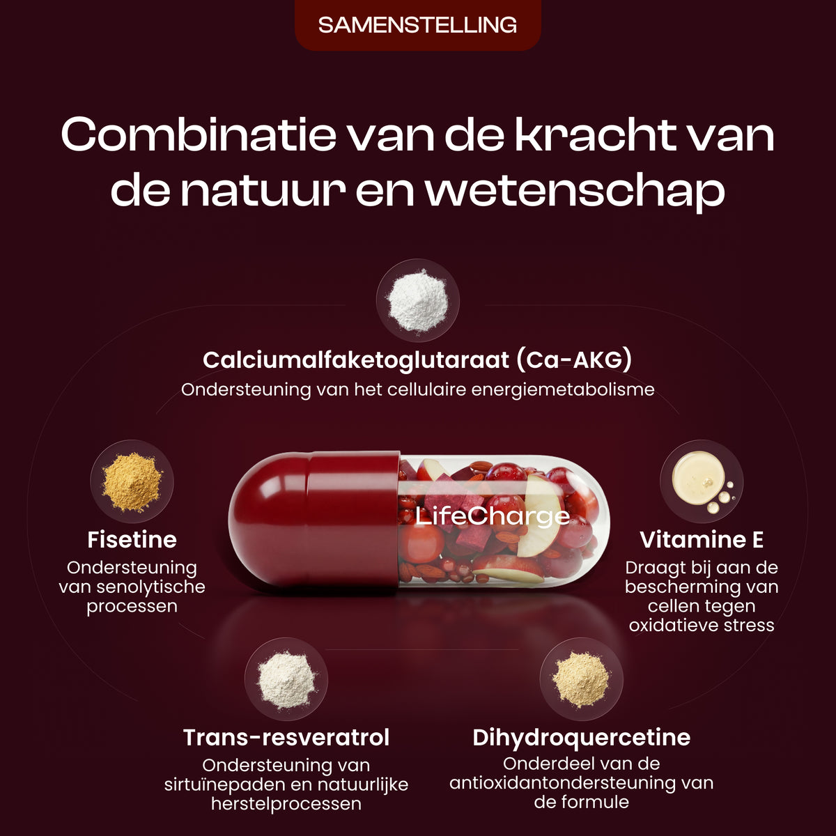 LifeCharge