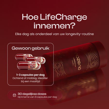 LifeCharge