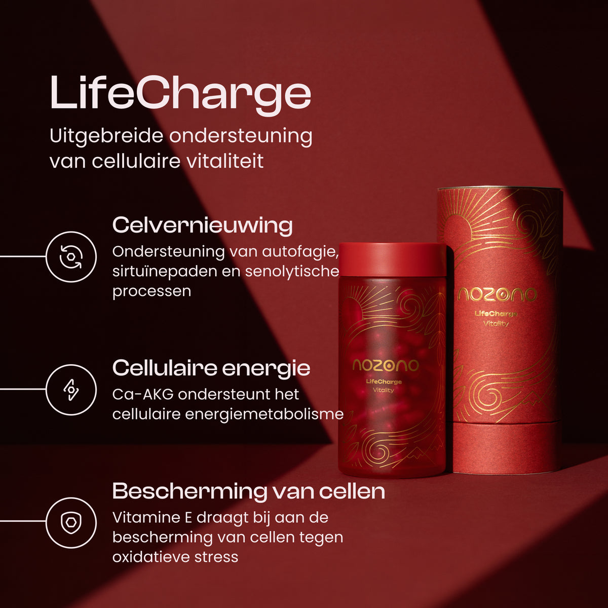 LifeCharge