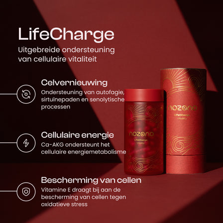 LifeCharge
